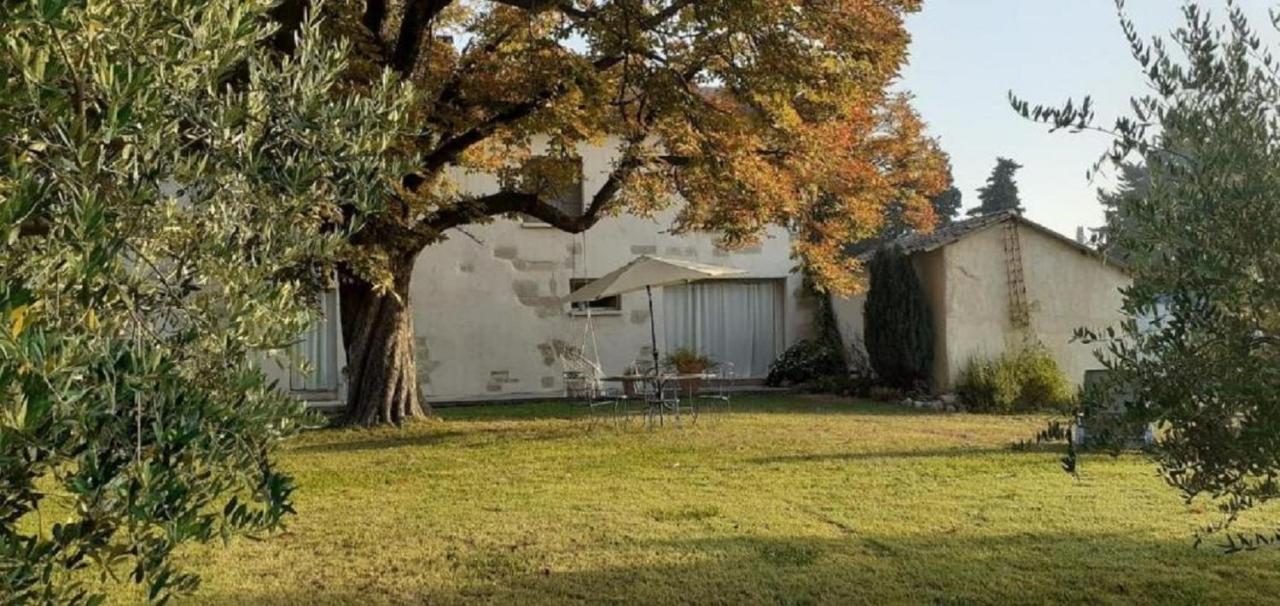 Vila Le Petit Mas En Provence Avec Piscine Barbentane Exteriér fotografie